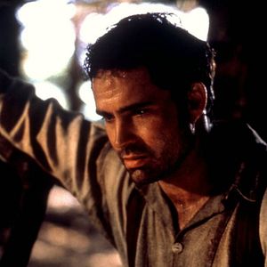 Bilder Weg der Träume