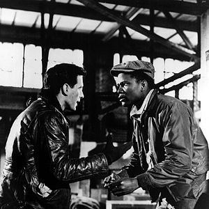 Bilder Ein Mann besiegt die Angst