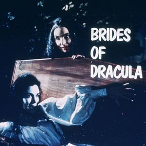 Bilder Dracula und seine Bräute