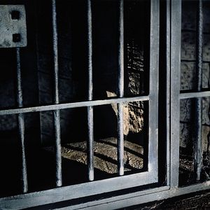 Bilder Der Fluch von Siniestro