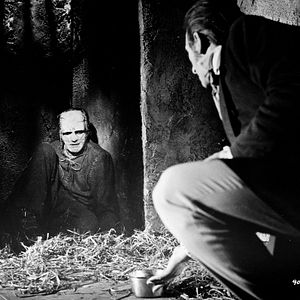 Bilder Frankensteins Ungeheuer