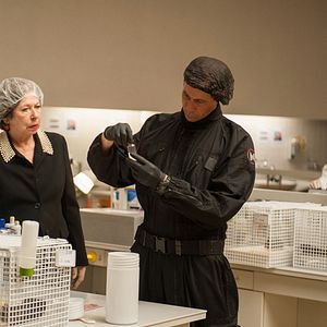 Bilder Marc Hosemann