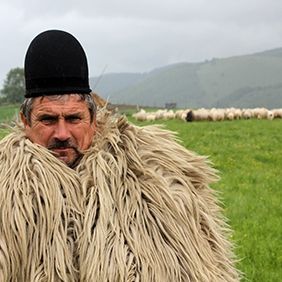 Bilder Transilvania Mea: Winners and Losers