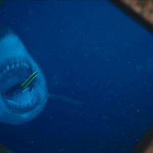 Bilder 47 Meters Down