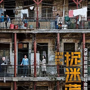 Bilder Hide and Seek