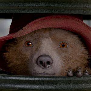Bilder Paddington 2