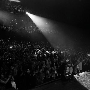 Bilder Indestructible, el alma de la salsa