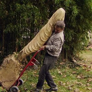 Bilder Muchos hijos, un mono y un castillo
