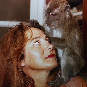 Bilder Muchos hijos, un mono y un castillo