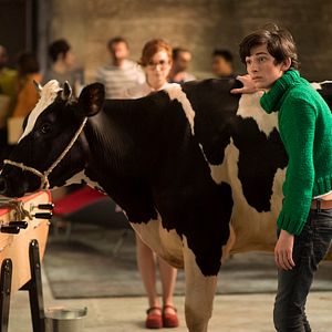 Bilder Gaston - Katastrophen am laufenden Band