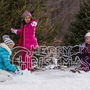 Bilder Yamilah Saravong