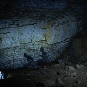 Bilder Mi Hua Zhi Wei