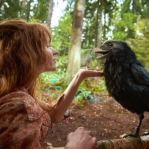 Bilder Die kleine Hexe