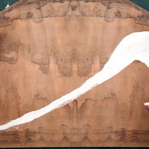 Bilder Julian Schnabel