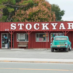 Bilder Wind Walkers - Jagd in den Everglades