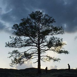 Bilder A morir a los desiertos