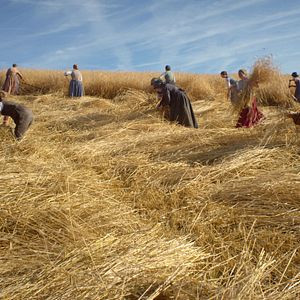 Bilder Das Mädchen, das lesen konnte