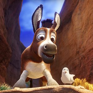 Bilder Bo und der Weihnachtsstern