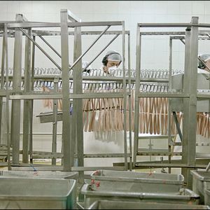 Bilder Kékszakállú