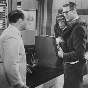 Bilder Liebling, ich werde jünger