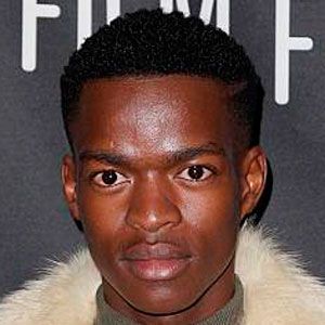 Bilder Niza Jay Ncoyini