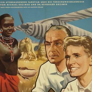 Bilder Serengeti darf nicht sterben