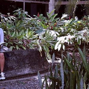 Bilder Clarice: O Despertar Dos Que Sonham