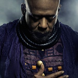 Bilder Black Panther