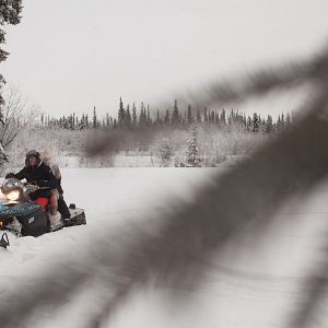 Bilder Maneater - Tod aus der Kälte