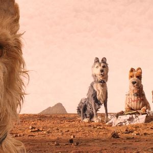 Bilder Isle of Dogs - Ataris Reise