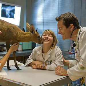 Bilder Free Willy – Rettung aus der Piratenbucht