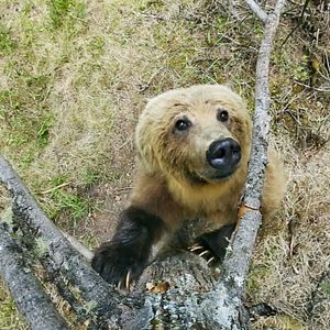 Bilder Unsere Erde 2