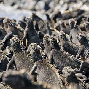 Bilder Unsere Erde 2