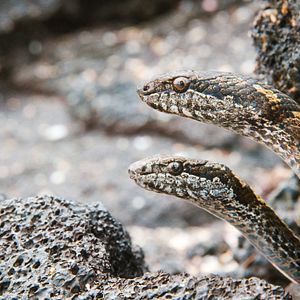 Bilder Unsere Erde 2