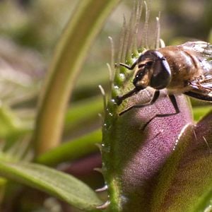 Bilder Unsere Erde 2