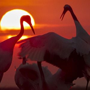 Bilder Unsere Erde 2