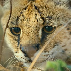 Bilder Unsere Erde 2