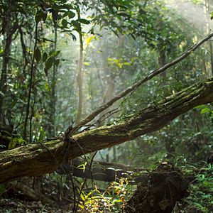 Bilder Unsere Erde 2