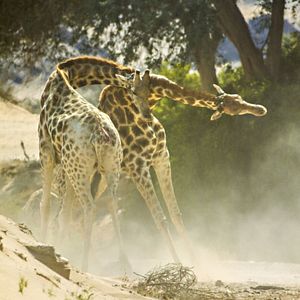 Bilder Unsere Erde 2