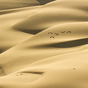 Bilder Unsere Erde 2