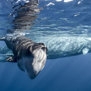 Bilder Unsere Erde 2