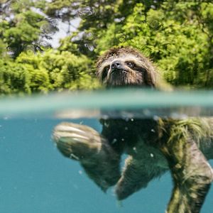 Bilder Unsere Erde 2