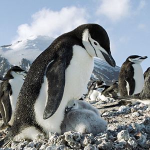 Bilder Unsere Erde 2