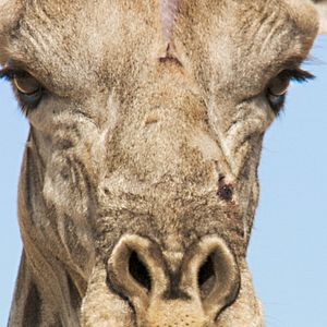 Bilder Unsere Erde 2