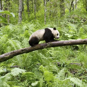 Bilder Unsere Erde 2