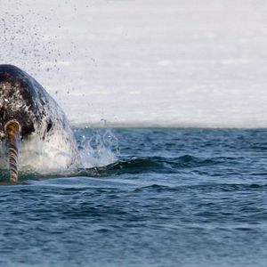 Bilder Unsere Erde 2