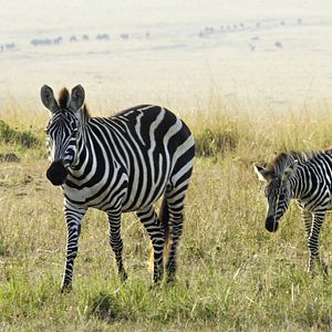 Bilder Unsere Erde 2