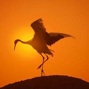 Bilder Unsere Erde 2