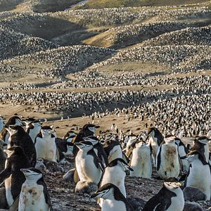 Bilder Unsere Erde 2