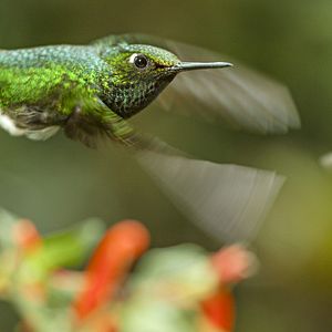 Bilder Unsere Erde 2